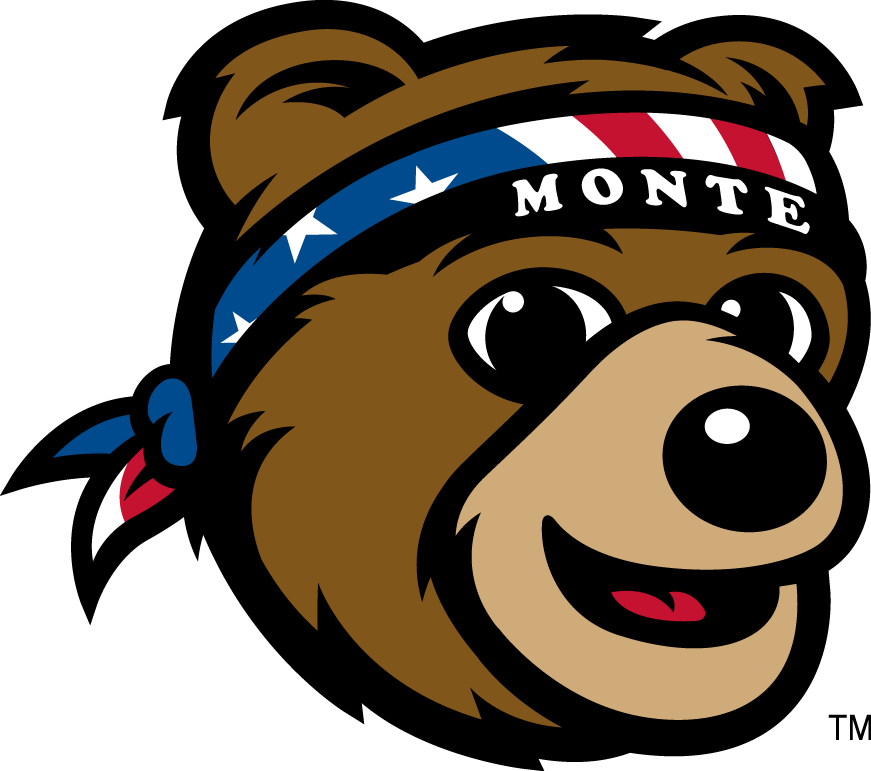 Montana Grizzlies 2010-Pres Mascot Logo t shirts iron on transfers